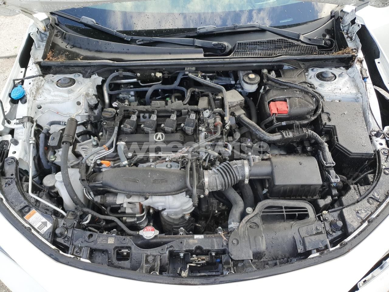 Photo 11 of 2024 ACURA INTEGRA A-SPEC TECH N/A (VIN 19UDE4H35SA004391)