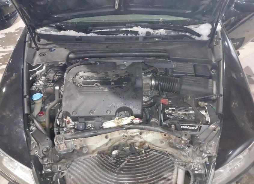 Photo 10 of 2006 Acura Tl (VIN 19UUA65536A029552)