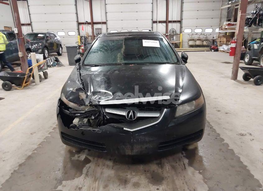 Photo 12 of 2006 Acura Tl (VIN 19UUA65576A054809)