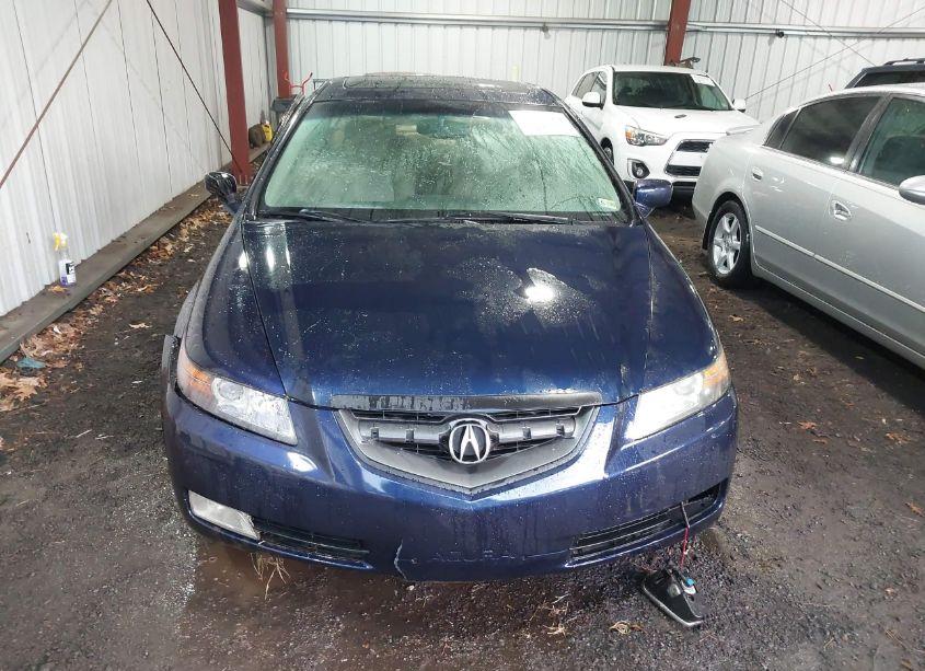 Photo 12 of 2006 Acura Tl (VIN 19UUA65596A077671)