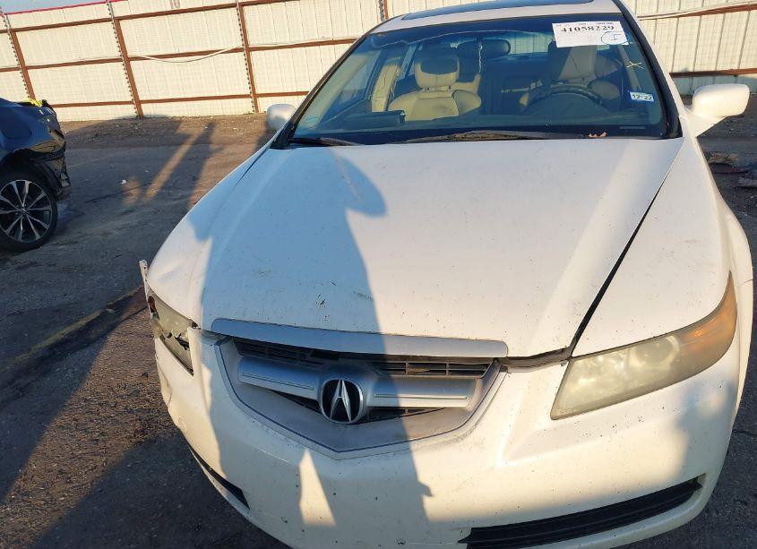 Photo 12 of 2006 Acura Tl (VIN 19UUA66206A010929)