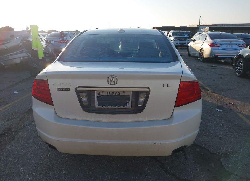 Photo 16 of 2006 Acura Tl (VIN 19UUA66206A010929)