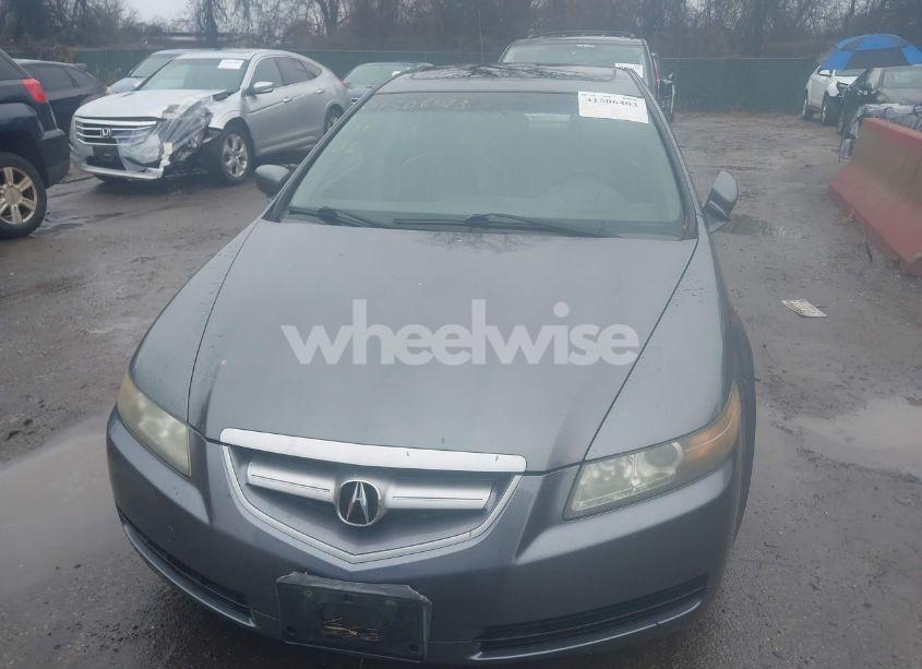 Photo 12 of 2006 Acura Tl (VIN 19UUA66206A075778)
