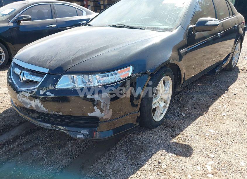 Photo 13 of 2008 Acura Tl 3.2 (VIN 19UUA66208A025904)