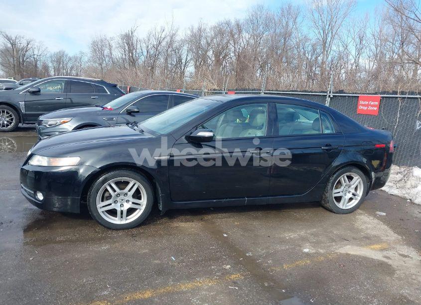 Photo 14 of 2008 Acura Tl 3.2 (VIN 19UUA66208A028415)