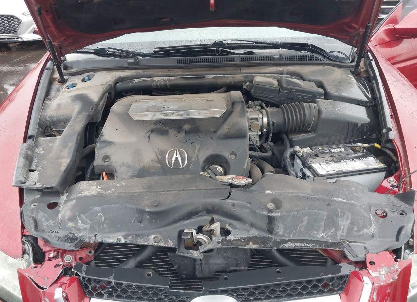 Photo 10 of 2008 Acura Tl 3.2 (VIN 19UUA66208A040869)
