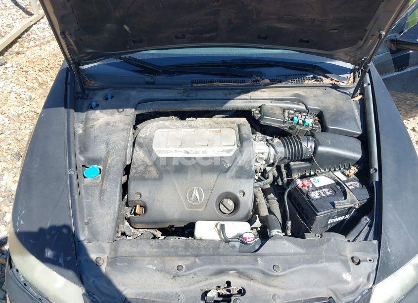 Photo 10 of 2008 Acura Tl 3.2 (VIN 19UUA66208A048390)