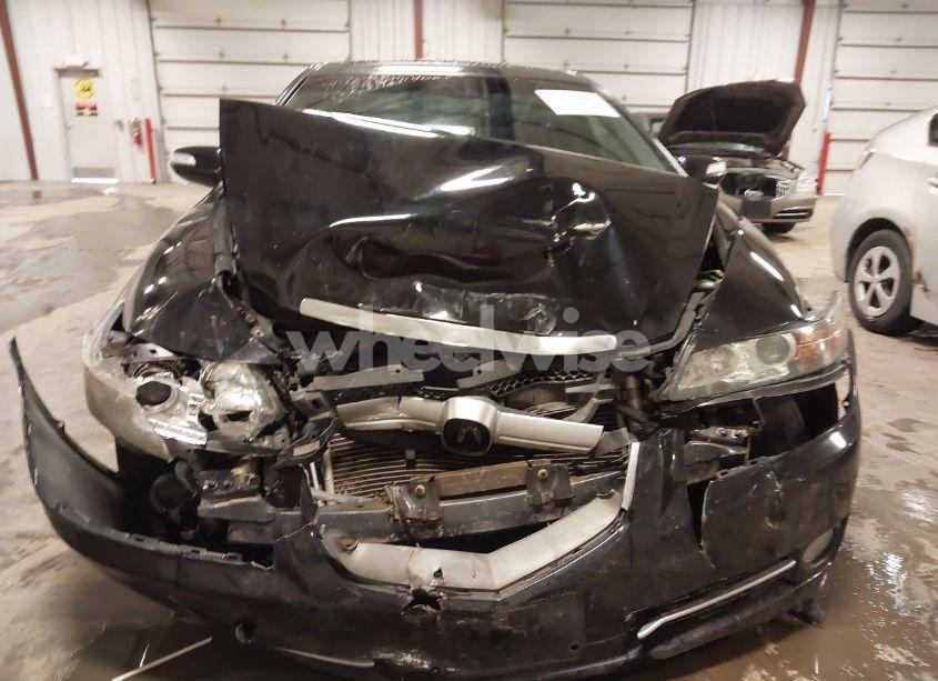 Photo 12 of 2008 Acura Tl 3.2 (VIN 19UUA66208A053539)