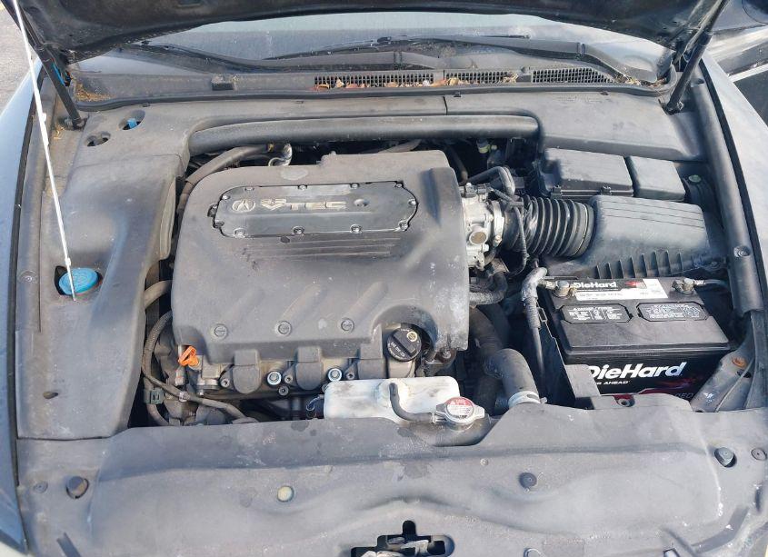 Photo 10 of 2006 Acura Tl (VIN 19UUA66216A038318)