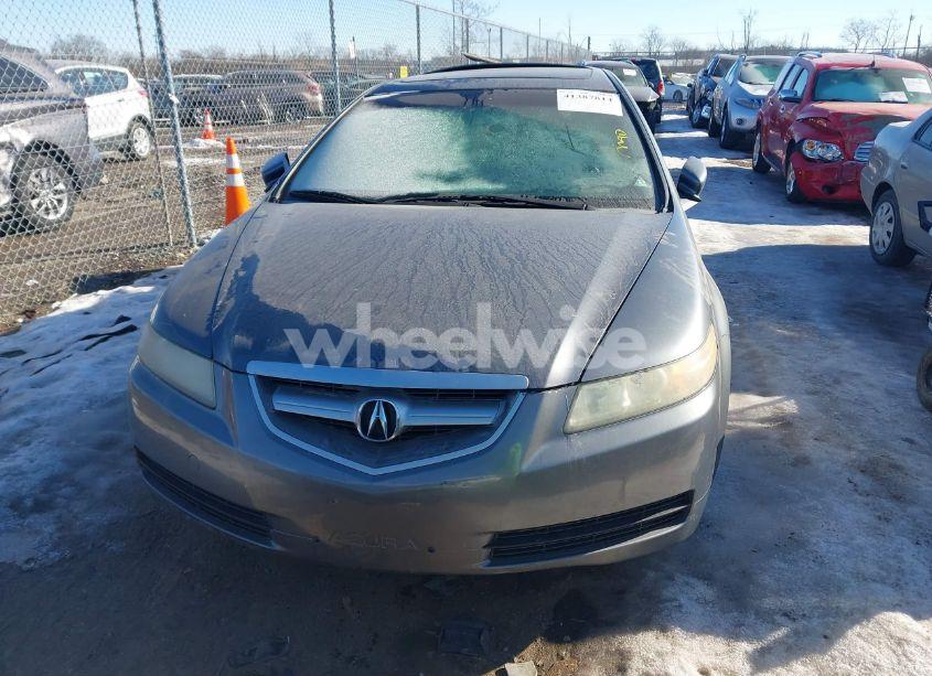 Photo 13 of 2006 Acura Tl (VIN 19UUA66226A032558)