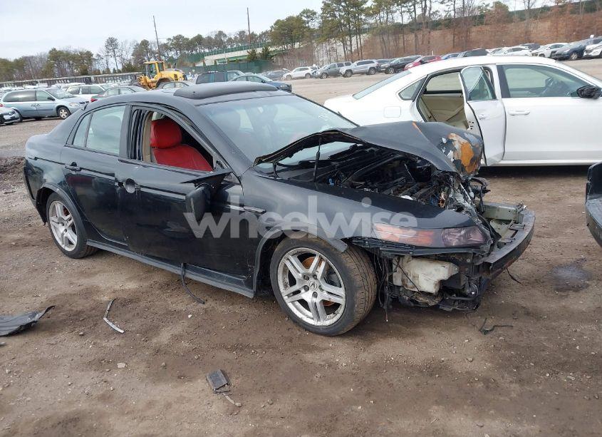 2008 Acura Tl 3.2 (VIN 19UUA66228A042431) main photo