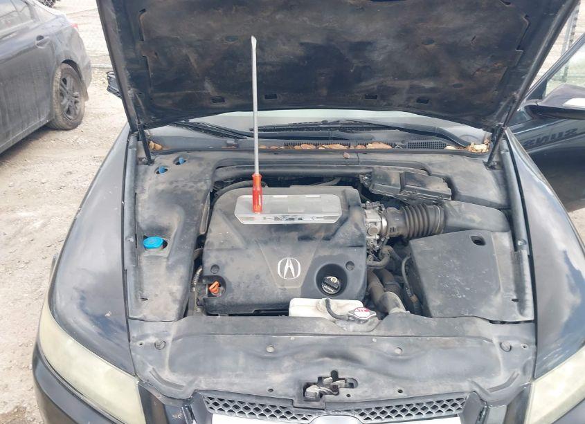 Photo 10 of 2008 Acura Tl 3.2 (VIN 19UUA66228A044485)