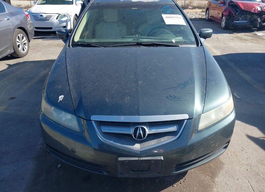 Photo 13 of 2004 Acura Tl (VIN 19UUA66234A016253)