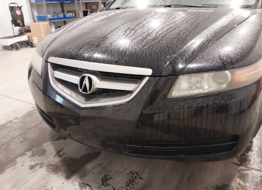 Photo 6 of 2006 Acura Tl (VIN 19UUA66236A040944)