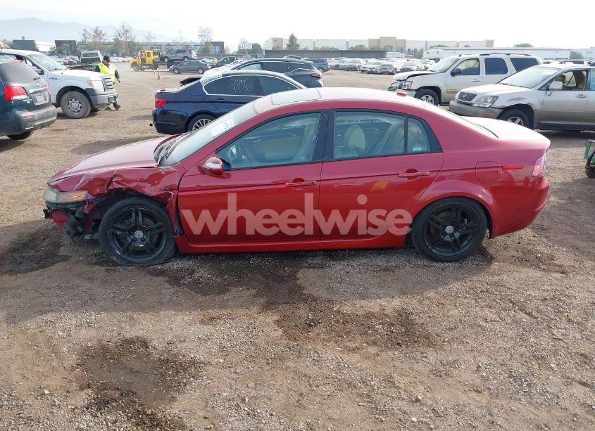 Photo 15 of 2008 Acura Tl 3.2 (VIN 19UUA66238A008899)