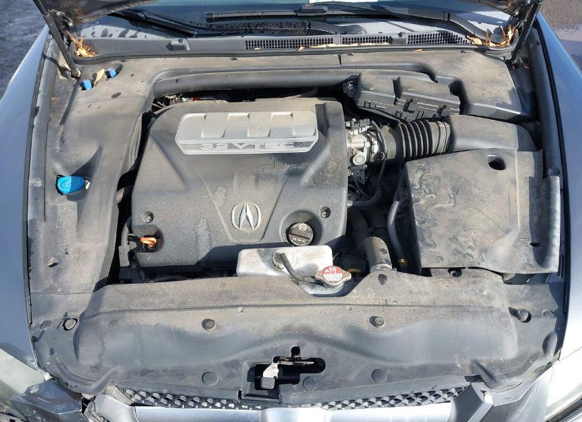 Photo 10 of 2008 Acura Tl 3.2 (VIN 19UUA66238A053406)