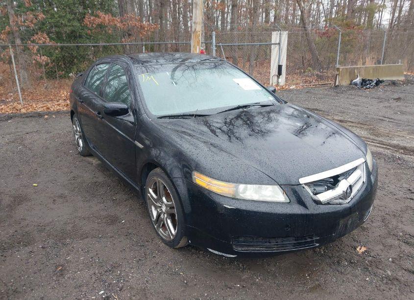2006 Acura Tl (VIN 19UUA66246A001666) main photo