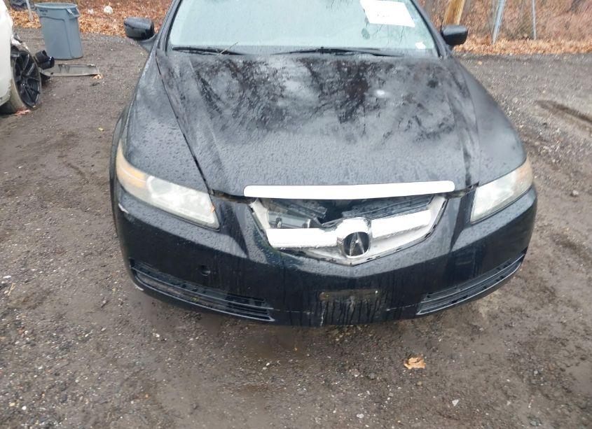 Photo 6 of 2006 Acura Tl (VIN 19UUA66246A001666)