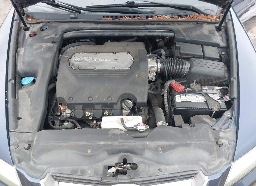 Photo 10 of 2006 Acura Tl (VIN 19UUA66246A004549)