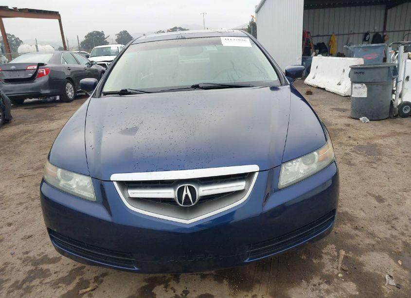 Photo 13 of 2006 Acura Tl (VIN 19UUA66246A004549)