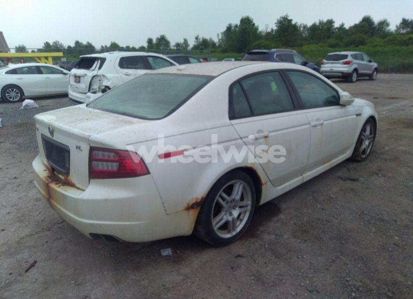 Photo 4 of 2007 Acura Tl 3.2 (VIN 19UUA66247A013320)