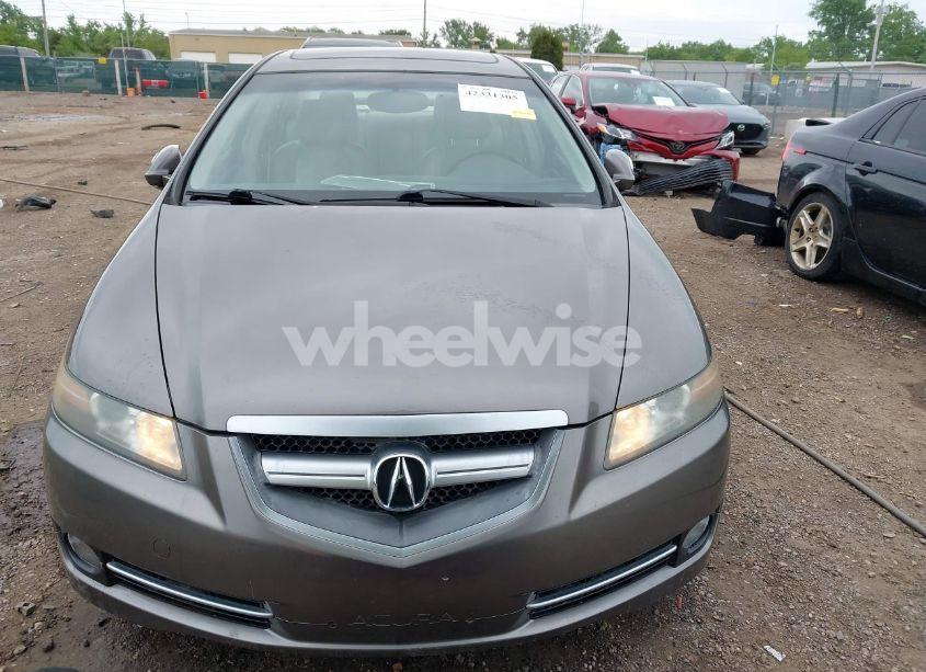 Photo 12 of 2008 Acura Tl 3.2 (VIN 19UUA66248A002027)