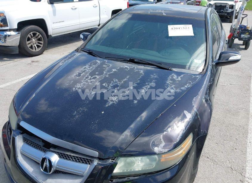 Photo 6 of 2008 Acura Tl 3.2 (VIN 19UUA66248A023699)