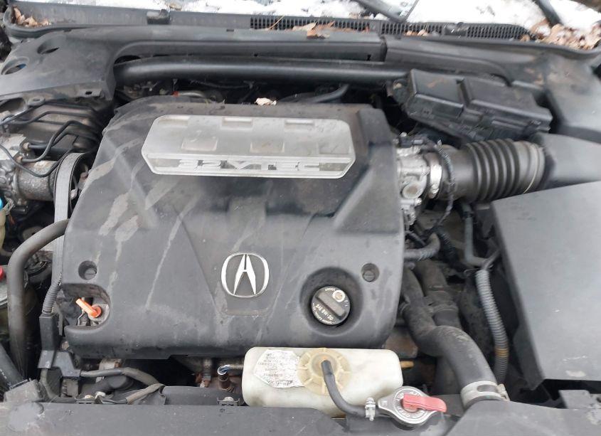 Photo 10 of 2008 Acura Tl 3.2 (VIN 19UUA66248A034069)