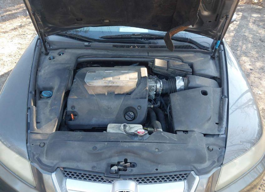 Photo 10 of 2008 Acura Tl 3.2 (VIN 19UUA66248A038476)