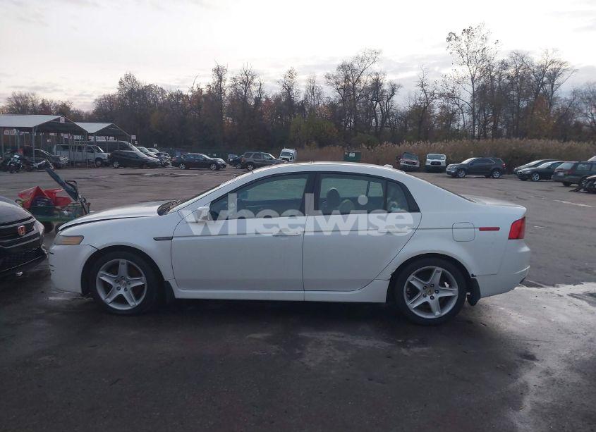 Photo 14 of 2004 Acura Tl (VIN 19UUA66254A036908)