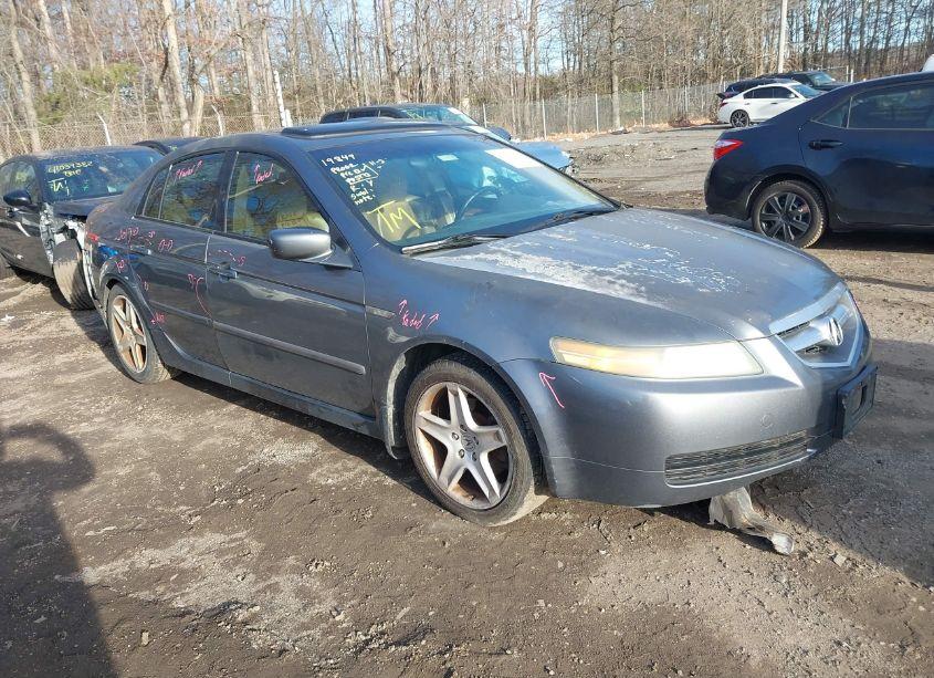 2005 Acura Tl (VIN 19UUA66255A025991) main photo