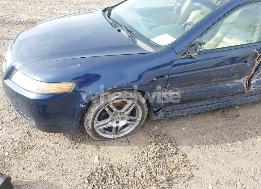 Photo 12 of 2006 Acura Tl (VIN 19UUA66256A013163)