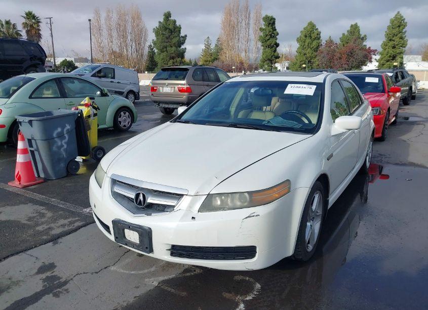 Photo 2 of 2006 Acura Tl (VIN 19UUA66256A069958)