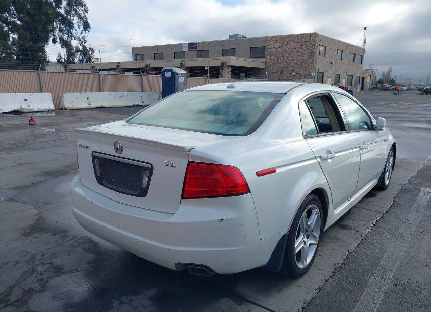 Photo 4 of 2006 Acura Tl (VIN 19UUA66256A069958)