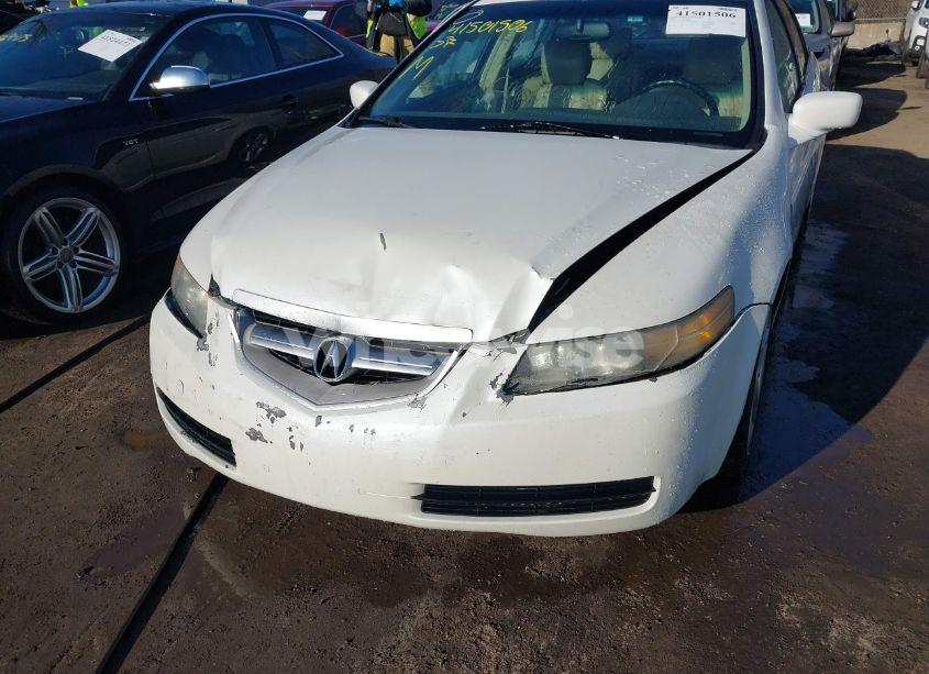 Photo 6 of 2005 Acura Tl N/A (VIN 19UUA66265A009881)