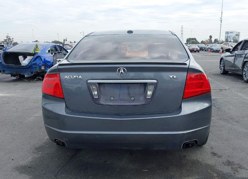 Photo 17 of 2006 Acura Tl (VIN 19UUA66266A013012)
