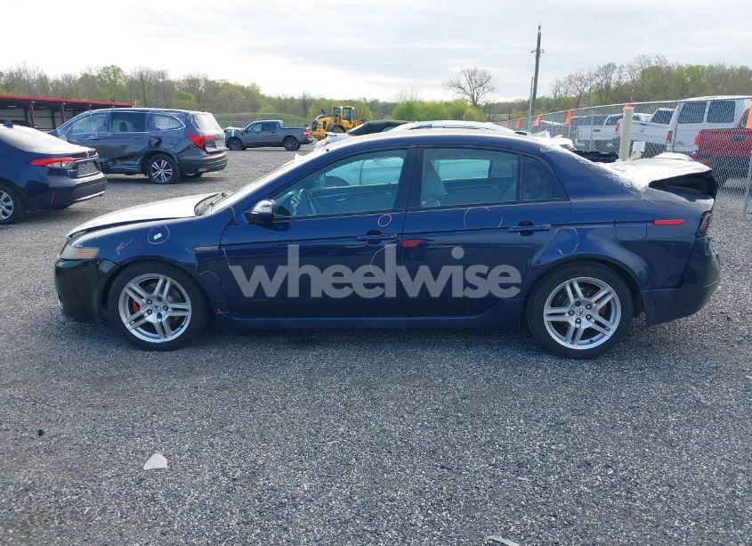 Photo 14 of 2008 Acura Tl 3.2 (VIN 19UUA66268A052086)