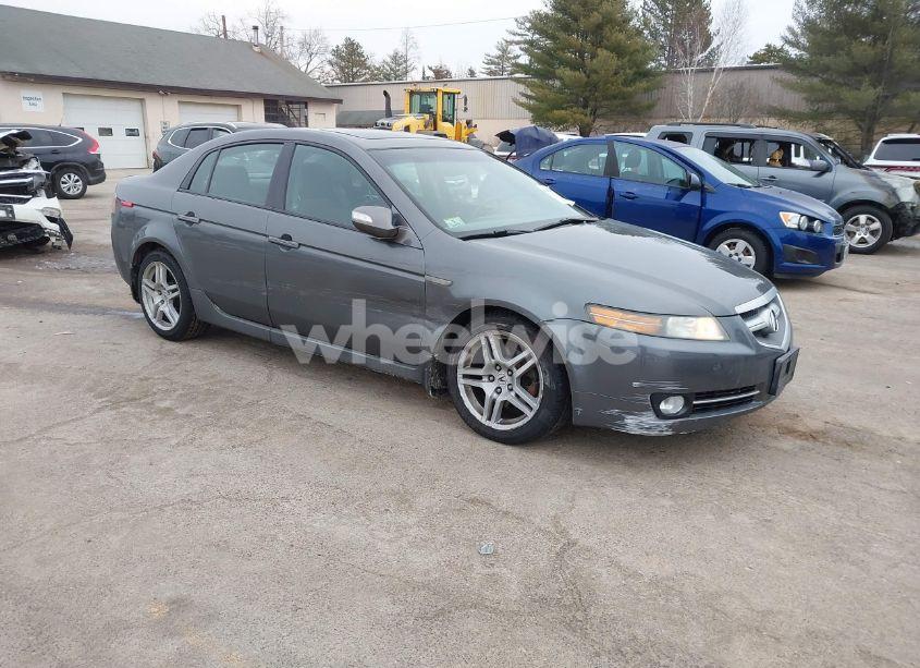 2008 Acura Tl 3.2 (VIN 19UUA66268A055974) main photo