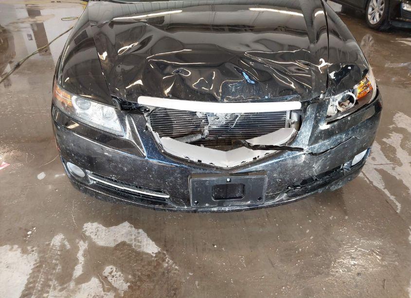 Photo 17 of 2008 Acura Tl 3.2 (VIN 19UUA66278A040156)