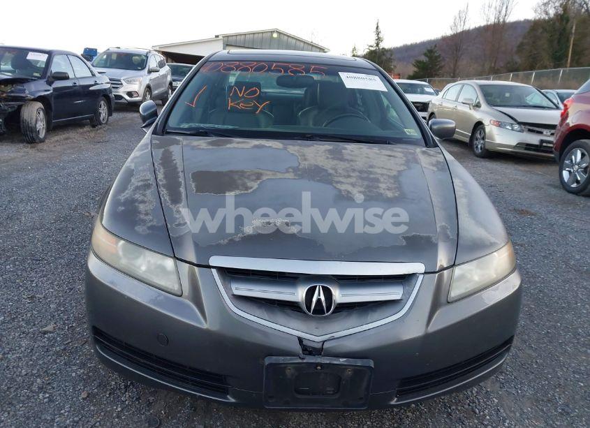 Photo 12 of 2006 Acura Tl (VIN 19UUA66286A037649)