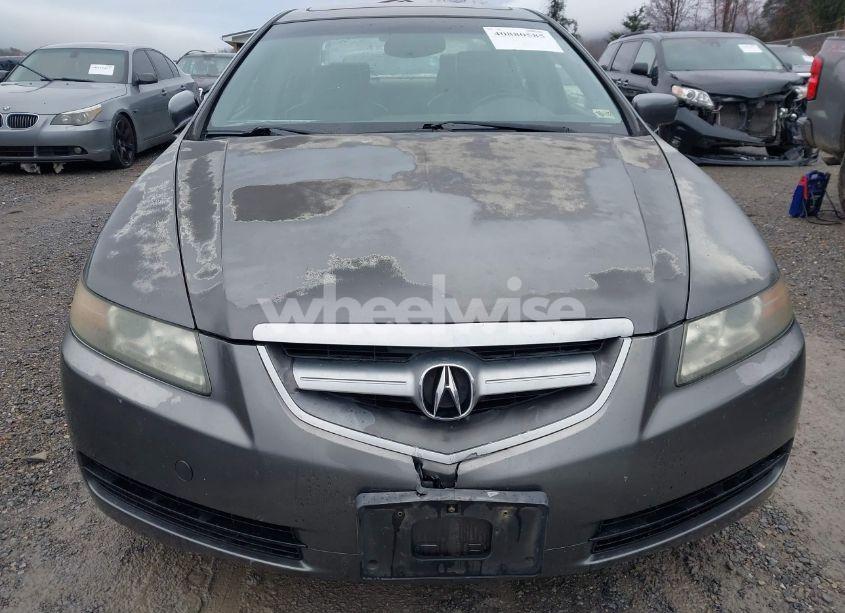 Photo 17 of 2006 Acura Tl (VIN 19UUA66286A037649)