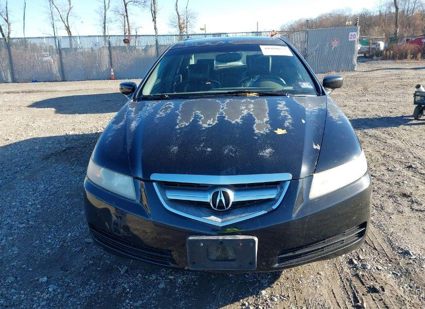Photo 12 of 2006 Acura Tl (VIN 19UUA66286A064396)