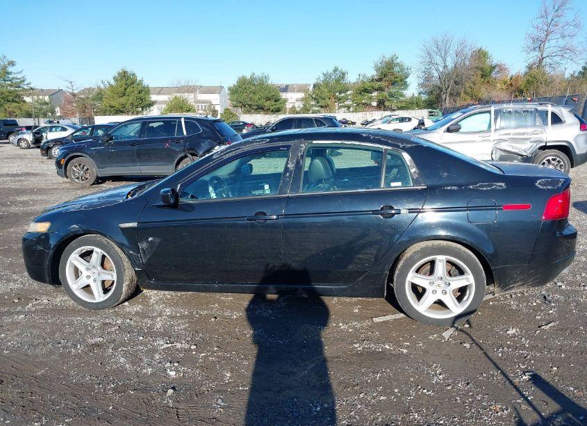 Photo 14 of 2006 Acura Tl (VIN 19UUA66286A064396)