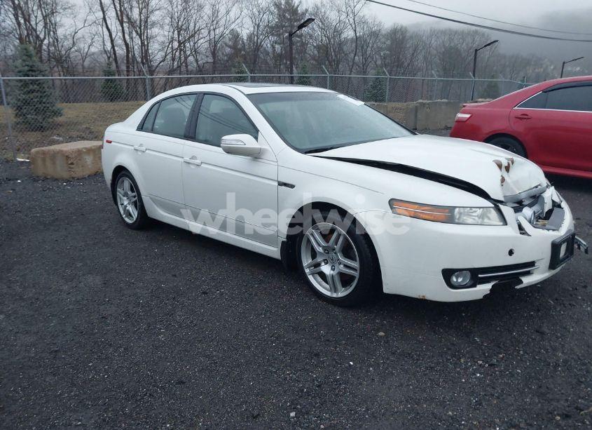 2008 Acura Tl 3.2 (VIN 19UUA66288A028503) main photo