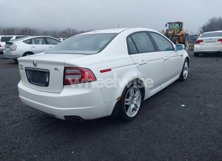 Photo 4 of 2008 Acura Tl 3.2 (VIN 19UUA66288A028503)