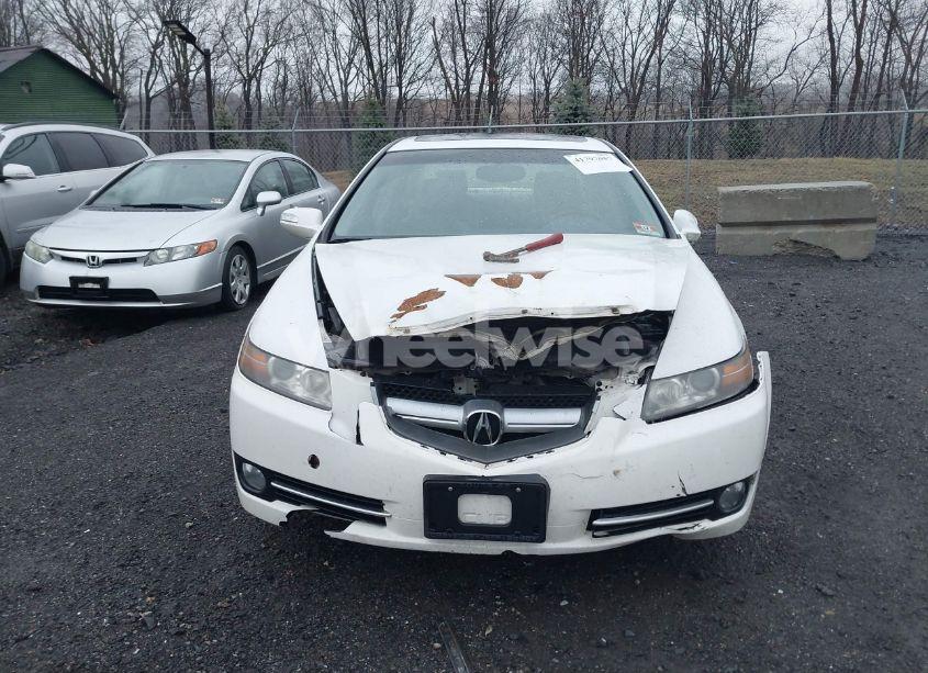 Photo 6 of 2008 Acura Tl 3.2 (VIN 19UUA66288A028503)
