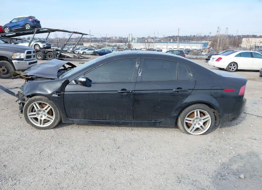 Photo 13 of 2008 Acura Tl 3.2 (VIN 19UUA66288A054812)