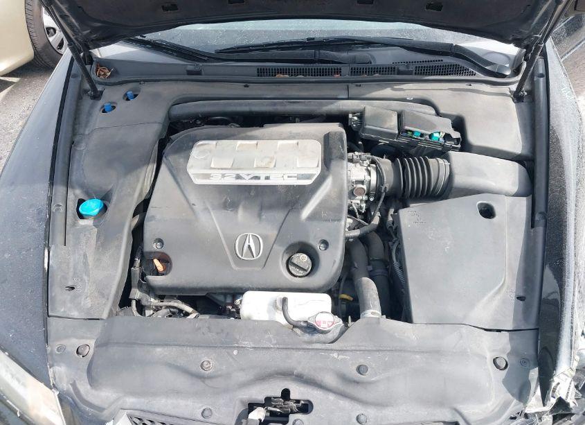 Photo 10 of 2008 Acura Tl 3.2 (VIN 19UUA66288A054843)