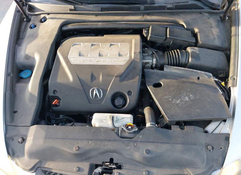 Photo 10 of 2008 Acura Tl 3.2 (VIN 19UUA66288A054941)