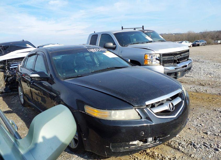 2007 Acura Tl 3.2 (VIN 19UUA66297A032428) main photo
